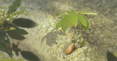 基督教教義的根基